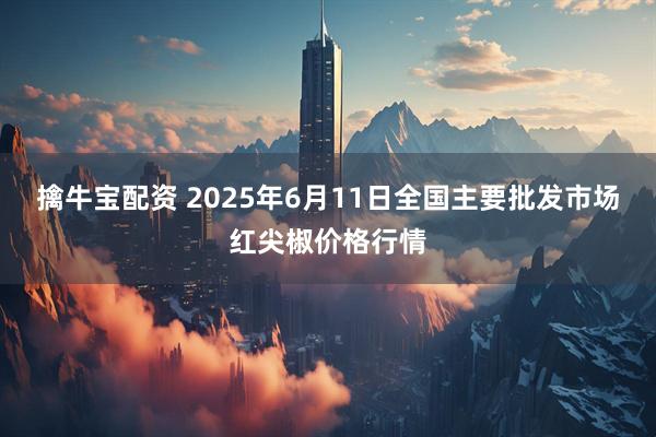 擒牛宝配资 2025年6月11日全国主要批发市场红尖椒价格行情