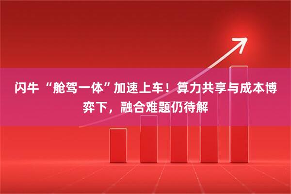 闪牛 “舱驾一体”加速上车！算力共享与成本博弈下，融合难题仍待解