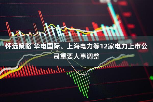 怀远策略 华电国际、上海电力等12家电力上市公司重要人事调整