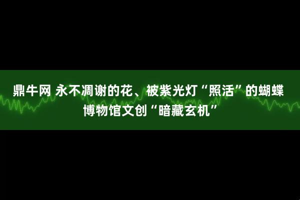鼎牛网 永不凋谢的花、被紫光灯“照活”的蝴蝶 博物馆文创“暗藏玄机”