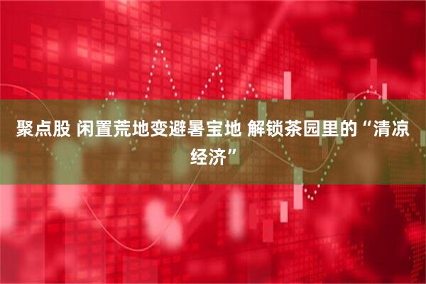 聚点股 闲置荒地变避暑宝地 解锁茶园里的“清凉经济”