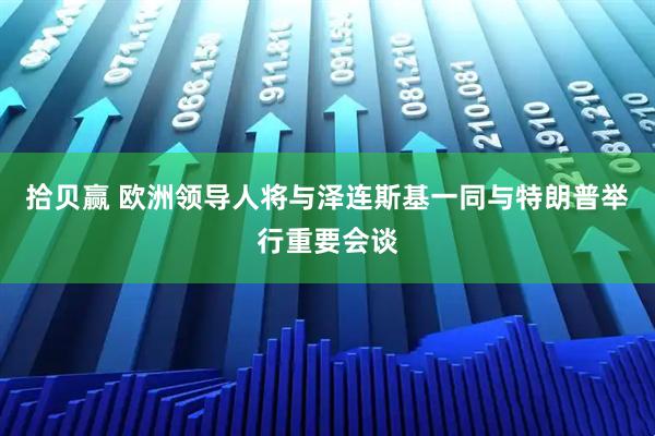 拾贝赢 欧洲领导人将与泽连斯基一同与特朗普举行重要会谈
